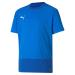 PUMA Unisex Kinder teamGOAL 23 Training Jersey Jr T-shirt 140 Electric Blue Lemonade-team Power Blue