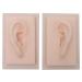 Anatomical Model 1 Pair Human Ear Soft Silicone Model for Acupuncture Music Recording