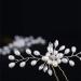 5 Pieces Bridal Bead Headdress | Elegant Pearl & Rhinestone Hair Jewelry for Weddings | Retro Fashion Hairpins for Brides & Festivals - Buy Online on GoSupps.com