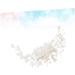 Didiseaon Party Favor Bridal Headpiece Goody Hair Clips for Women Hair Decorations Floral Decor Wedding Hair Side Combs Rhinestone Tiara Women Hair Accessories Bride Decorate Pearl - Buy Online on GoSupps.com