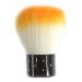 Prochive Multifunctional Makeup & Nail Brush - Dust Removal & Cleanup Tool Random Color Selection - Buy Online on GoSupps.com