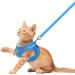 Femax Adjustable Soft Mesh Dog Harness with Leash for Small/Medium Dogs & Cats - No Pull Reflective Breathable Vest for Chihuahua & Puppies (XS: 26-29cm) - Blue - Buy Online on GoSupps.com
