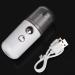 Ionic Cool Mist Sprayer 30ml USB Handy Nano Mist Spray Atomization Mister Face Facial Moisturizing Mist Sprayer Moisturizing Atomizer - Buy Online on GoSupps.com