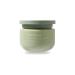 Gel douche exfoliant naturel 250 g corps mains et pieds doux et hydratant convient aux femmes claircissant taille unique vert
