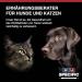 Specific Specific Canine Adult Cod-Hy Allergy Management Plus 2 kg 2 000 g - Buy Online on GoSupps.com