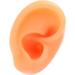 Flexible Silicone Human Ear Model for Displaying Earrings - Reusable Fake Ear Right Side - Buy Online on GoSupps.com