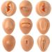 CHUANCI 1PC Soft Silicone Body Part Model Human Ear Mouth Eye Tongue Navel Model Display Puncture Display Simulation for Jewelry Display Teaching Tool (1PC Coffee Color Right Ear) - Buy Online on GoSupps.com