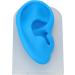 Silicone Simulated Ear Model for Hearing Amplifier Display - Transparent and Blue - Buy Online on GoSupps.com