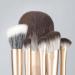 12-Piece Makeup Brush Set for Beginners | Complete Eye Shadow Beauty Tools - Buy Online on GoSupps.com