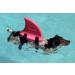 SwimFin Floatation Device for Kids | Training Floaties for Safe Pool & Beach Swimming - SWIMFINGRY - Buy Online on GoSupps.com