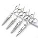 Japan 440C Hairdressing Salon Barber Styling Professional Toolset Fashion 6 'Hairdressing Scissors and Efficient Scissors(6 inch 4 pieces-D)