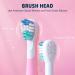 Girls Proalpha Electric Toothbrush for Kids Age 3-12 | Rechargeable Sonic Toothbrush with Timer | 2 Reminder Brush Heads | IPX7 Waterproof | Pink - Buy Online on GoSupps.com
