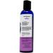 Lick Blueberry Flavored Edible Massage Oil | Vegan Skin Safe Infused with Vitamin E & Almond Oil | 4 oz Travel-Ready - Buy Online on GoSupps.com