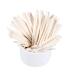 Zerone 100 Pcs ColorfulSticks Great for Cake Pops & Lollipops Helps Hold While Decorating Ideal for DIY Crafts 10cm (White)