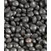 Shiloh Farms Organic Petite Black Lentils 16 oz - 2 Pack | 32 oz Total - Buy Online on GoSupps.com