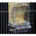 Automatic No Mess Bird Feeder for Parakeet Canary Cockatiel Finch - Bird Cage Accessories - Buy Online on GoSupps.com
