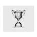 2 x Microfiber Cleaning Cloths "Trophy" (LC00024439)