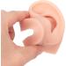 Silicone Piercing Model - Versatile Ear Model for Hospitals & Teachers (Light Skin Color) | International Shipping Available - Buy Online on GoSupps.com