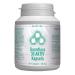 Darmflora 30 ACTIVE 90 capsules - 30 bacterial strains + organic inulin - high dose - enteric-coated - vegan