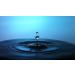 Algae Marine Toner 150ml - Rejuvenate Hydrate & Soothe | TARA - International Shipping Available - Buy Online on GoSupps.com