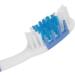 Long Handle Mouth Cleaner - Handy Tongue Scraper for Optimal Oral Hygiene | International Shipping Available - Buy Online on GoSupps.com