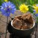 Propolis raw 500g 500 gr