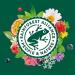 Elephant Flavored Infusion Peach Apricot and Thyme Flavor Rainforest Alliance Certified 100% Natural Ingredients - Buy Online on GoSupps.com