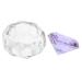 Beavorty nail art crystal cup acrylic nail glassware powder dappen dish bowl nail glass cup glass nail acrylic terrarium Nail Art Cleaning Tool with cover purple equipment White crystal