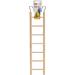 Buy Karlie Wooden Ladders - 45 cm x 9 cm x 45 cm | Durable & Stylish Pet Accessories for International Shipping - Buy Online on GoSupps.com