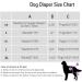 Hisprout Female Dog Diapers Reusable Washable & Durable Skirt Design (Large Funny Doggie) - International Shipping Available - Buy Online on GoSupps.com