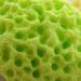 Bath Sponges for Adults Bath Sponge Mesh Pouf Bath Sponge Foam Loofah Sponge (Size : Yellow) - Buy Online on GoSupps.com