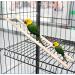 Wooden Bird Ladder for Cage - 3 Sizes | Pet Toys for Parakeets, Parrots, Cockatoo, Lovebirds - Buy Online on GoSupps.com