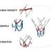 LIOOBO Heavy Duty Sports Chain Basketball Net Replacement | Rustproof Metal Design for Indoor and Outdoor Training - White/Red/Blue - Buy Online on GoSupps.com