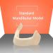 Shop Dental Teeth Model Upper Jaw - No Gums Ideal for Implant Practice & Demonstration | International Shipping Available - Buy Online on GoSupps.com