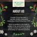 Frontier Co-op Thyme Leaf Powder 1lb - Premium Quality Organic Herb for Culinary Use - Buy Online on GoSupps.com