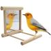 Hanging Bird Mirror Swing Toy - Interactive Play for Small Parrots & Birds - 2PCS - Buy Online on GoSupps.com