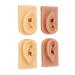 3D Silicone Ear Model for Beauty Salons - Flexible Reusable with 2 Piercing Pairs - Ideal Display for Training - Buy Online on GoSupps.com