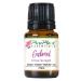 PurePlant Essentials Gabriel Angel Therapy Perfume Oil Organic and Wild Crafted Essential Oils Blend Diluted in Light Coconut Oil - 7.5 ml (1/4 Ounce)
