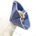 ASOCEA Adjustable Pet Recovery Collar for Cats & Dogs - Anti-Biting Lick Wound Healing Cone, 4.7 inches/12cm - Buy Online on GoSupps.com
