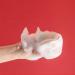 Body Exfoliating Sponge Elastic Cute Bathing Clean Scrub Brush with 4 Cat Paws shower scrub brush - Buy Online on GoSupps.com