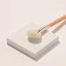 THE TOOL LAB 160 Blusher Fan Brush - Premium Fluffy Face Powder Brush for Flawless Blending & Mineral Cosmetics - Perfect for Setting & Finishing - Buy Online on GoSupps.com