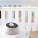 Motorola MBP161TIMER Digital Audio Baby Monitor with Baby Care Timer - Buy Online on GoSupps.com