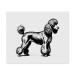 2 x Microfiber Cleaning Cloths Poodle On Show (LC00026601)