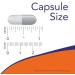 NOW Quercetin with Bromelain Veg Capsules 120 Count (pack of 1) & Supplements Selenium 200mcg Capsules 180 Count Quercetin + SUPPLEMENT Selenium 200mcg - Buy Online on GoSupps.com