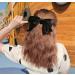12 Pack Large Velvet Hair Bows Clips - French Barrettes for Girls & Women - Buy Online on GoSupps.com