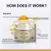 Anti-Aging Face Cream Use it morning and night Reducing wrinkles and giving the skin a tight and youthful appearance. - Buy Online on GoSupps.com