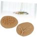 FRCOLOR High Heel Shoe Inserts - Forefoot Pad Insoles & Thickening Half Size Pads for Comfort - Buy Online on GoSupps.com