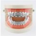 Electroplate Hip Hop False Teeth Set - Reusable Silver Vampire Prostheses for Halloween & Festival Decoration  - Buy Online on GoSupps.com