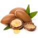 Arga Natural Argan Oil and Aloe Vera Daily Face and Body Cream Moisturising Regenerating Hydrating and Antioxidant From Spain 100% Natural Plant based 140 ml - Buy Online on GoSupps.com