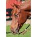 Latigo Leather Split Ear Headstall - Premium Quality for Superior Performance - Buy Online on GoSupps.com